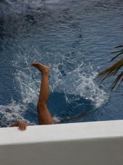 Example: BW striking a pose on the narrow pool edge.