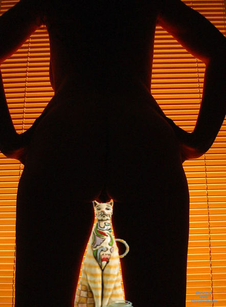File:20110606-173368-6 pussy-cat.jpg