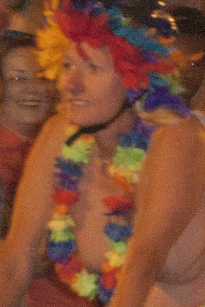 A 100% crop showing excessive noise at ISO-800 without any post processing