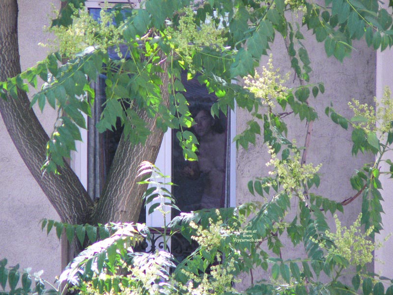 File:20090712-110561-4.jpg