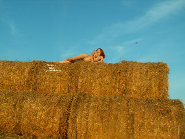 File:CiceSummer.jpg