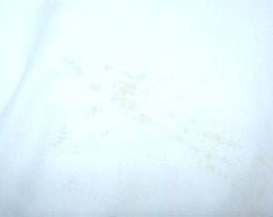 A white t-shirt with cum stains after laundry. The stains can hardly be seen