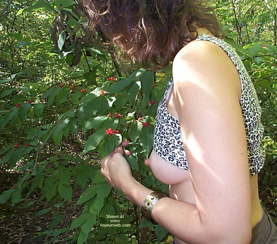 File:0~20031203-62927-6.jpg