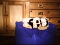 Thumbnail for version as of 01:23, 25 June 2012