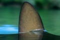 Thumbnail for version as of 01:17, 25 June 2012