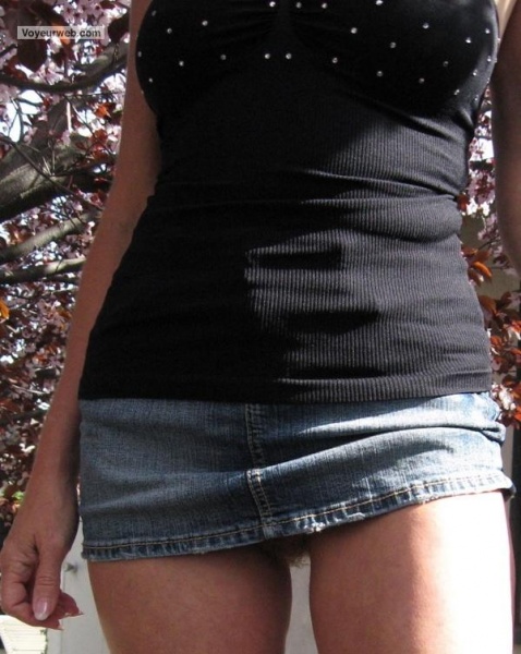 File:Microskirt.jpg