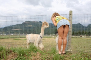 Marcia and her llamas