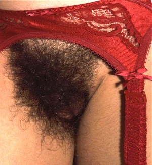 Designers can use the shaping of the garment to frame the pubic hair and increase the erotic appeal