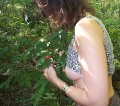 Thumbnail for version as of 01:34, 25 June 2012