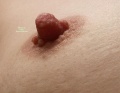 Thumbnail for version as of 01:45, 25 June 2012